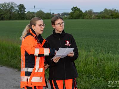 Einschätzung der Lage und Vorgehen