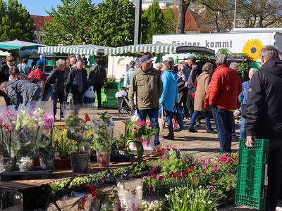 2025 04 26 Grüner Markt Besucher 2 WEB