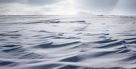 the opening of heavens gate kopie Beispielbilder